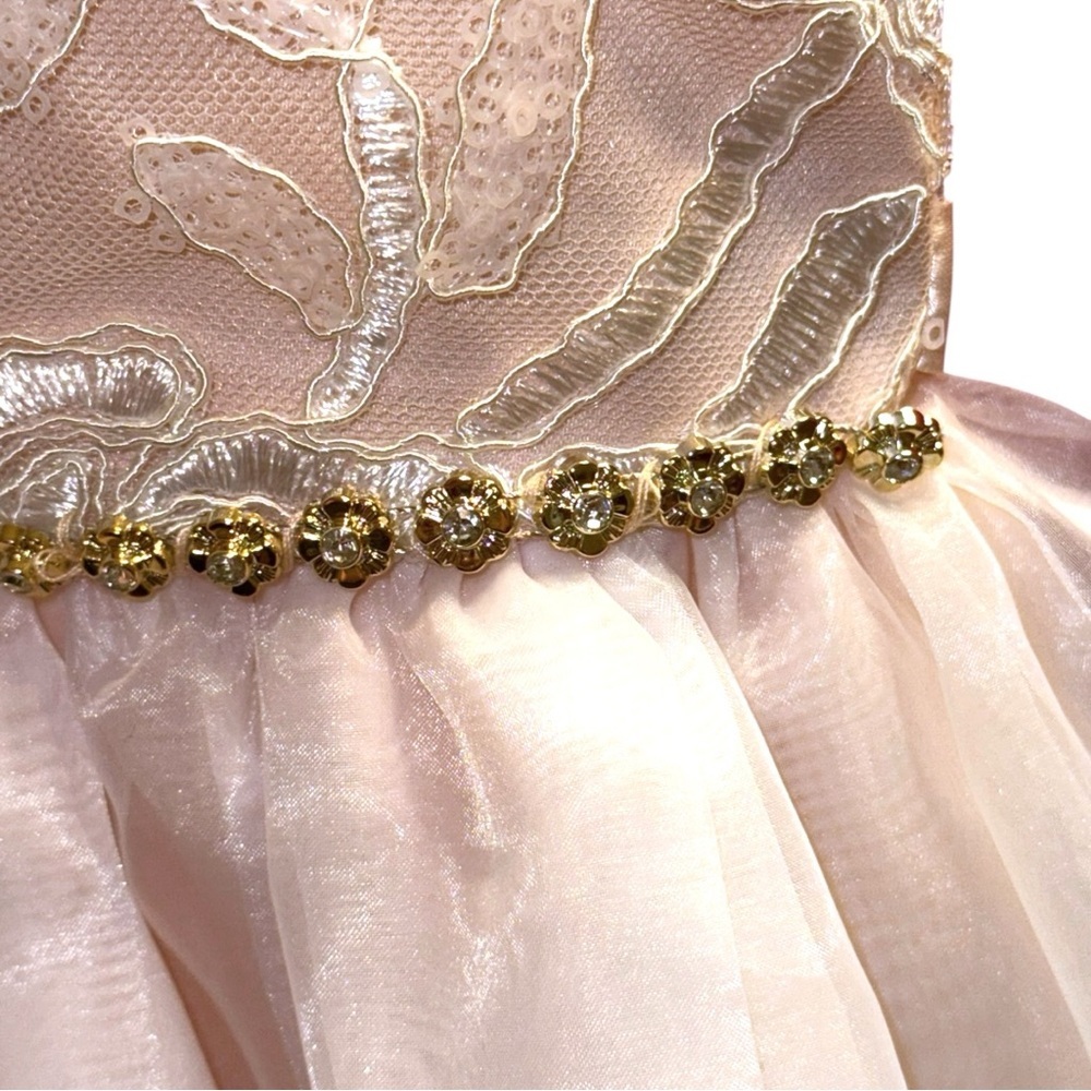 Rare Editions Girls Blush Floral Embroidered Formal Dress Size 10 - Picture 5 of 8